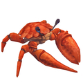 Lava Crab