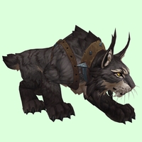 Black Lynx w/ Iron-Studded Harness