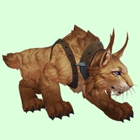 Amber Lynx w/ Iron-Studded Harness