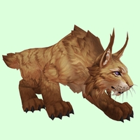 Amber Lynx