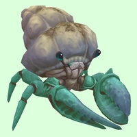 Teal Hermit Crab w/ Sandy Shell