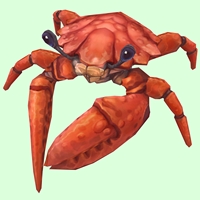 Vermilion Crab