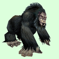 Black Gorilla