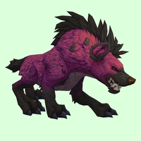 Purple Hyena