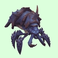 Indigo Stagshell w/ Large Mandibles, No Graspers, Horn