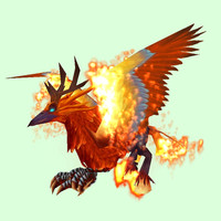 Flaming Orange Hippogryph