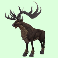 Dark Brown Stag