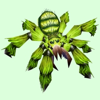 Green Tarantula