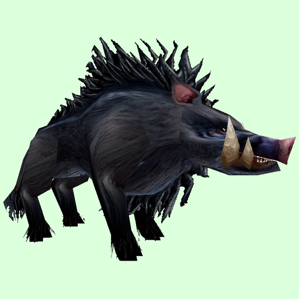 Black Boar