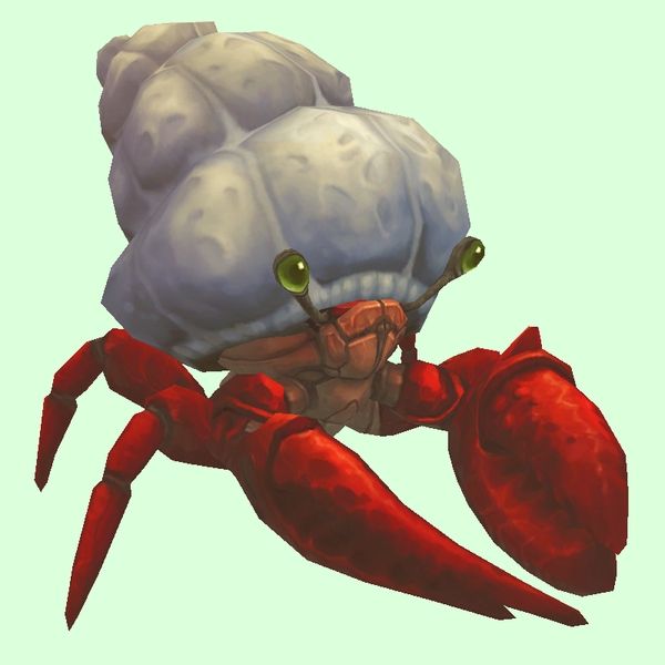Red Hermit Crab w/ Plain Shell