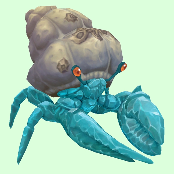 Diamond Hermit Crab w/ Barnacled Shell