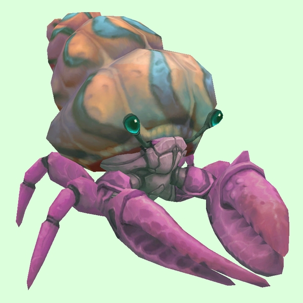 Pink Hermit Crab w/ Pale Orange & Blue Shell