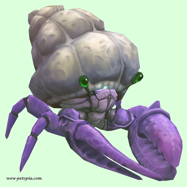 Purple Hermit Crab w/ Plain Shell