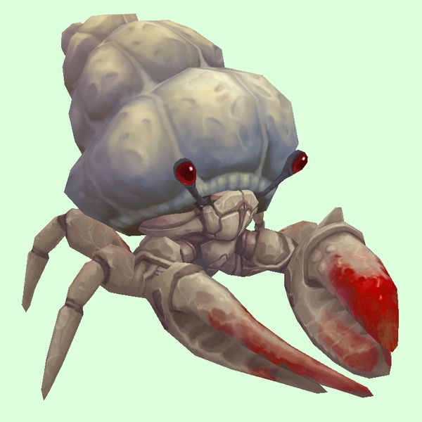Red & White Hermit Crab w/ Plain Shell