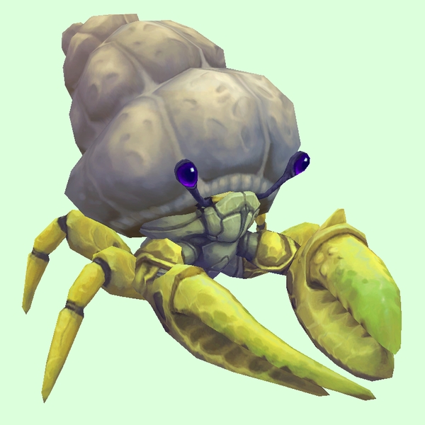 Yellow Hermit Crab w/ Plain Shell