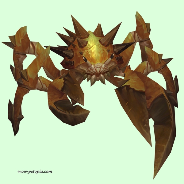 Gold-Tinged Dark Orange Spiked Crab