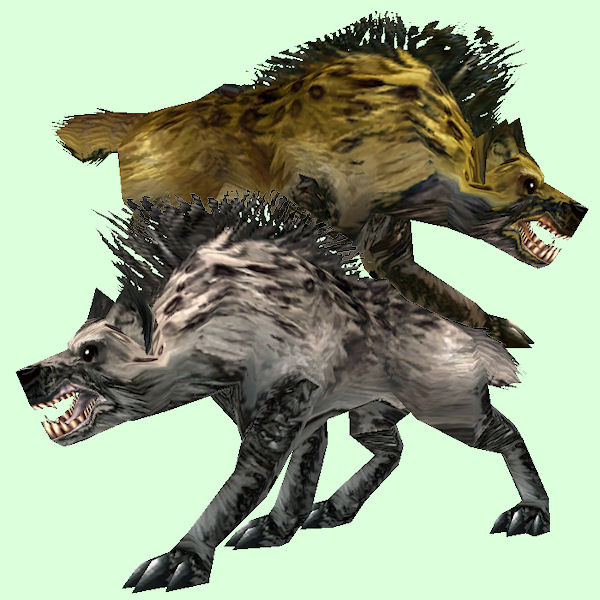 Hyena as Pet