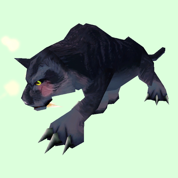 Hunched Black Cat