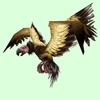 Gold Condor (Bird of Prey)
