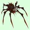 Dark Brown Bone Spider