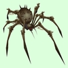 Light Grey Bone Spider