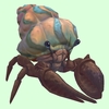 Brown Hermit Crab w/ Pale Orange & Blue Shell
