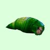 Green Larva