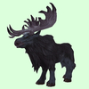 Black Moose