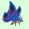 Grey Moth w/ Blue & Magenta Wings