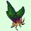 Green & Beige Moth