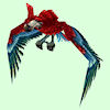 Red Parrot