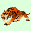Orange Striped Saber Cat