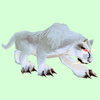 Hunched Albino Cat
