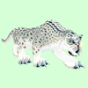 Hunched White Spotted Cat