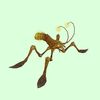 Yellow Armored Water Strider