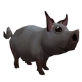 Drustvar Piglet