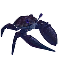 Emperor Crab