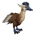 Ironbeak Duck