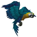 Greatwing Macaw