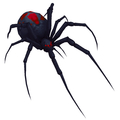 Widow Spiderling