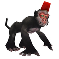 Darkmoon Monkey