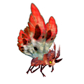 Crimsonwing Moth