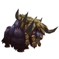 Muskflank Calfling