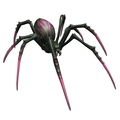 Rosetipped Spiderling