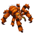 Redridge Tarantula