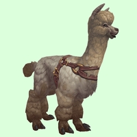 Beige Alpaca w/ Harness