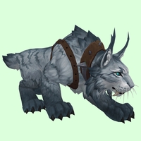 Grey Lynx w/ Dark-Studded Harness