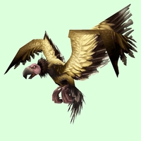 Gold Condor