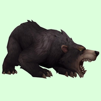 Dark Bear