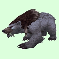 Grey Primal Bear